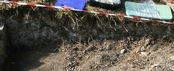 Garden boundary wall, E of toilet