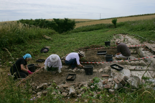 Digging E and SE of toilet