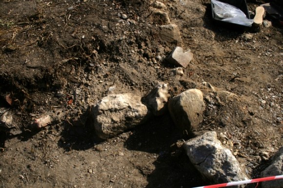 Displaced edging stone