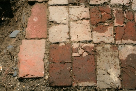 NE corner of paved path