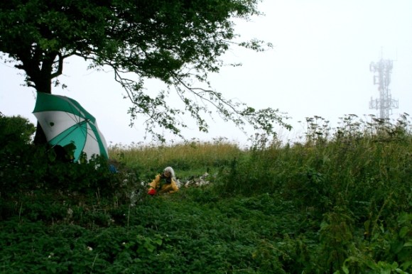 View SW from NE corner of site