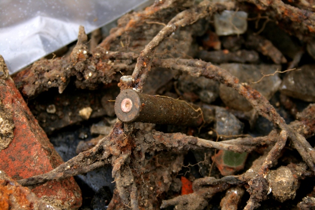 .303 cartridge