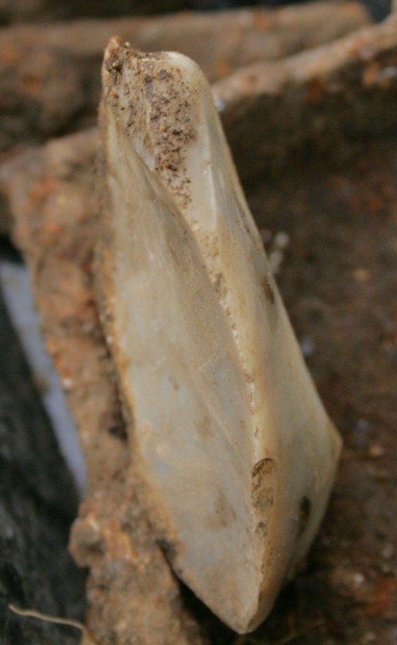 Working edge of flint scraper