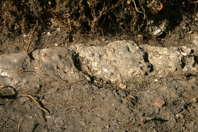 E side of site of garden gate