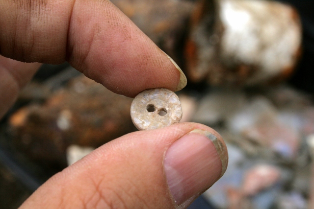A button from drain