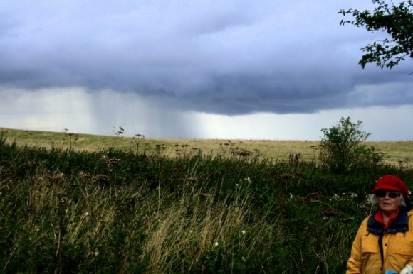 Looking NNE from just S of site of front garden gate