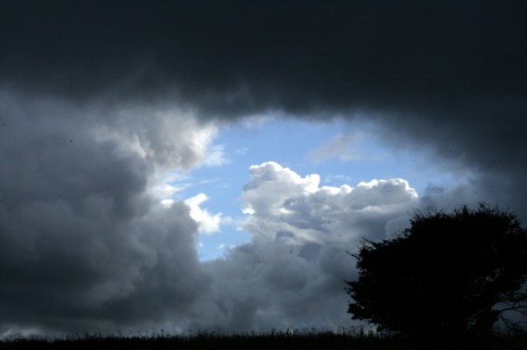 Dramatic sky, looking SW at hawthorn near SW corner of farmyard