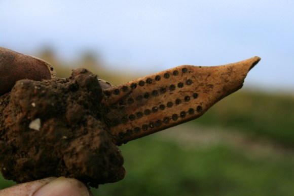 Decorated bone handle(?)