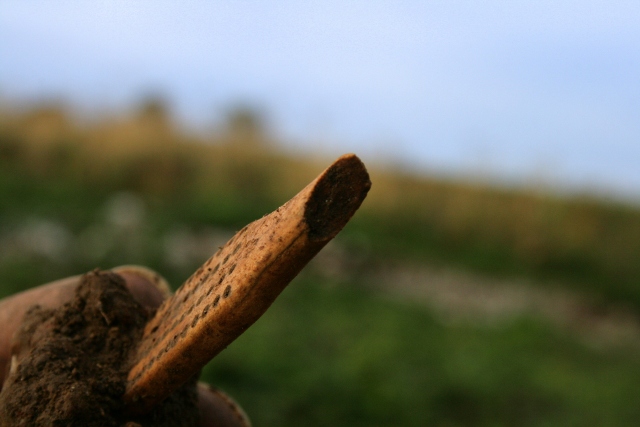 Decorated bone handle(?)
