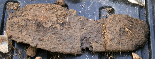 Sole and heel of child's shoe