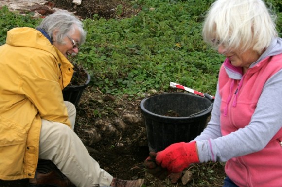 Digging to S of cottage