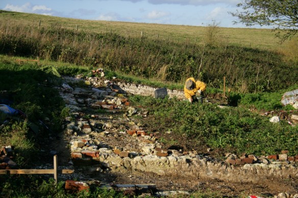 Looking N across whole of cottage to N boundary wall