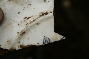 Reverse of decorated dinner plate shard from partially excavated grid square S of cottage, E of ~1880 extension; 25th October 2013.