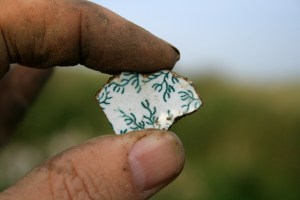 Decorated ceramic shard from partially excavated grid square S of cottage, E of ~1880 extension; 25th October 2013.