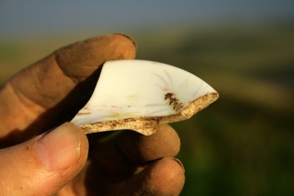 Decorated ceramic shard from partially excavated grid square S of cottage, E of ~1880 extension