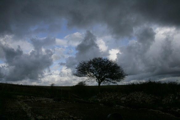 Looking NNE at Newmarket Farm Cottage site
