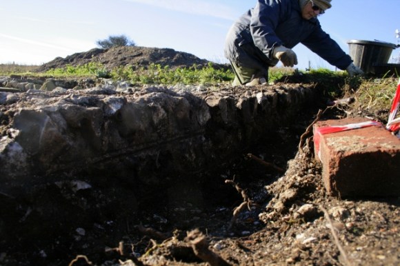 Looking SW at garden boundary wall N of cottage