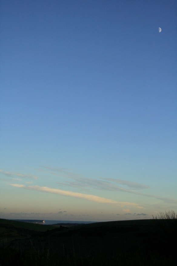 Looking SE at view beyond dig site