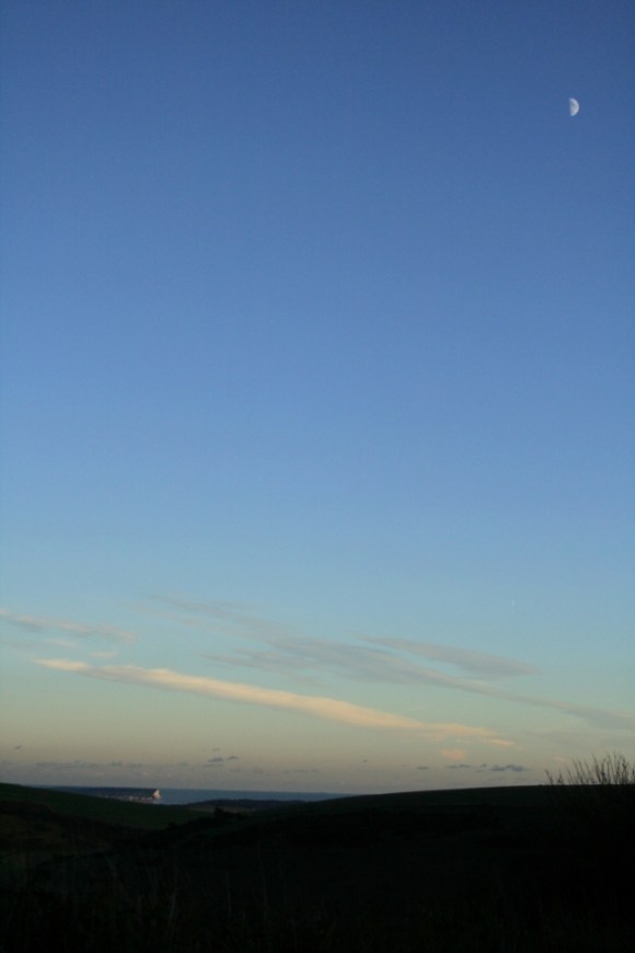 Looking SE at view beyond dig site