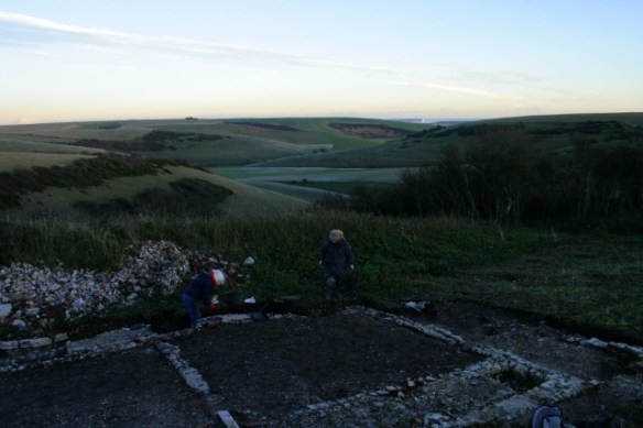 Looking SE across dig site