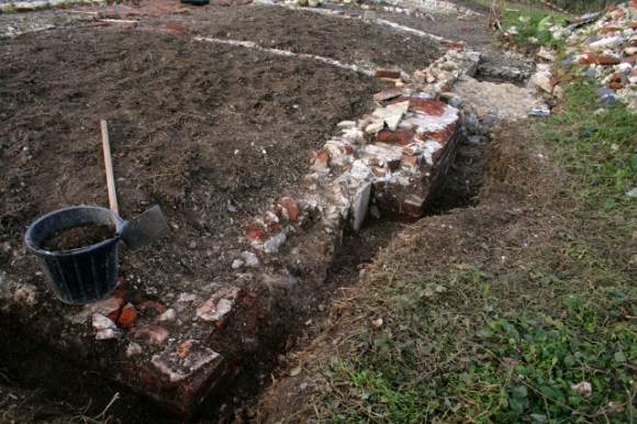 Looking NW at S end of E wall of cottage