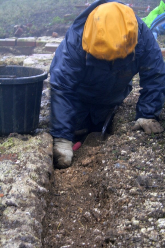 Looking S at W side of cottage wall