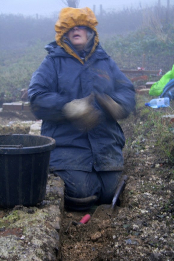 Looking S at W side of cottage wall