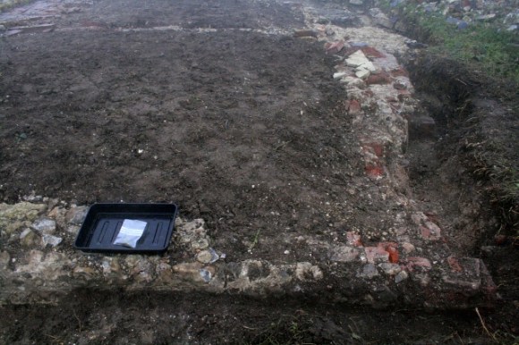 Looking N at SE end of cottage