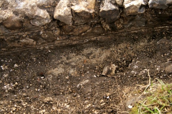 Looking S at W side of garden gateway and N side of N boundary wall