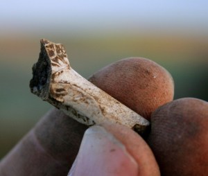 Decorated clay pipe stem fragment; 22nd November 2013.
