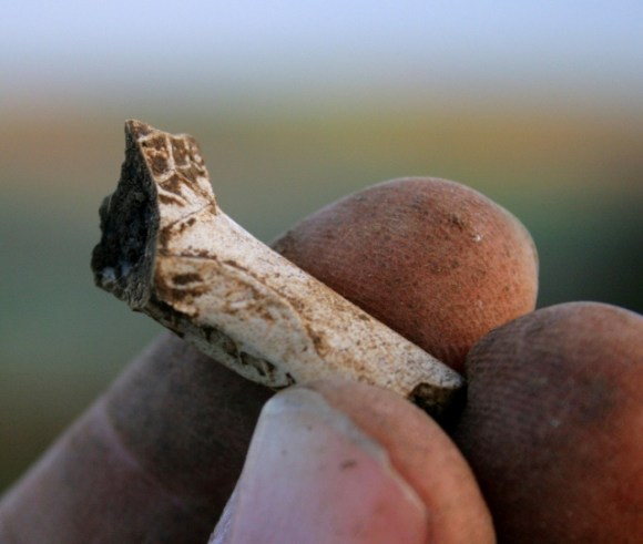 Decorated clay pipe stem fragment