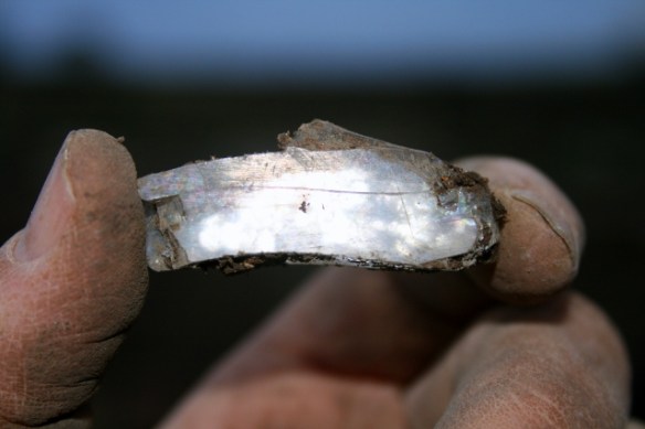 Thick glass shard of a mirror (photo with flash)