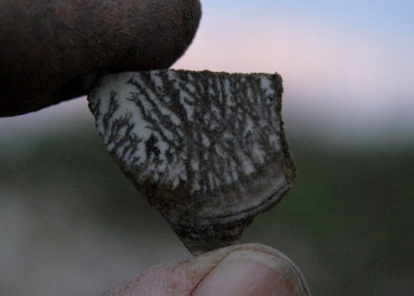 Brown and white moccha ware shard