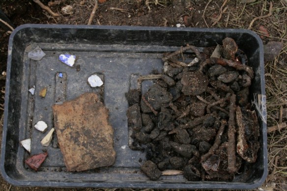 Finds tray from E side of cottage, S of chimney