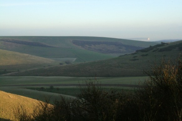 Looking E from dig site