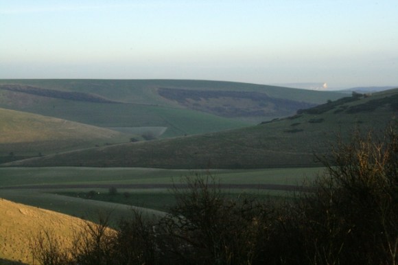Looking E from dig site