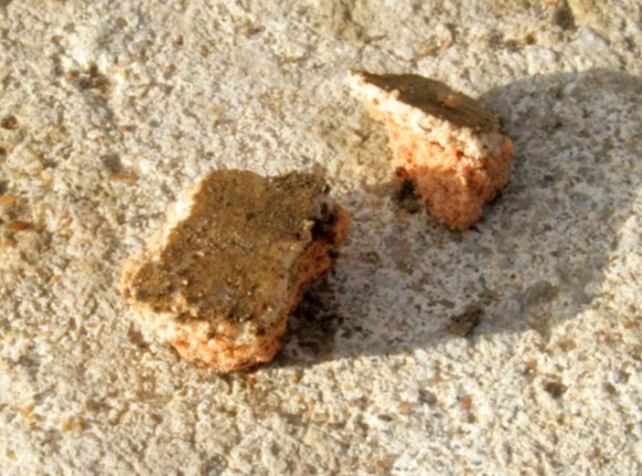 Small fragment of painted wall plaster