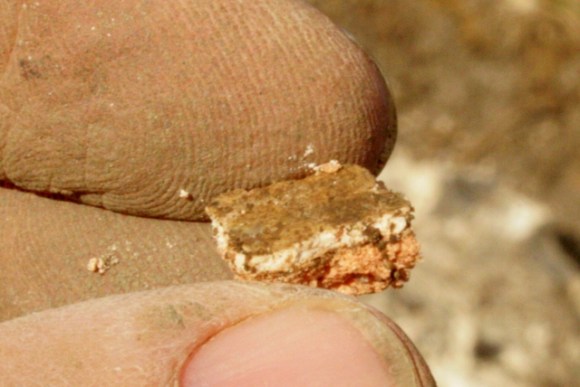 Small fragment of painted wall plaster