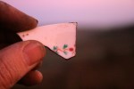 Ceramic shard, in late afternoon sun, from excavation of demolition rubble from E of chimney base; 8th December 2013.