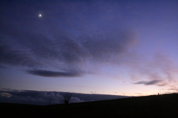 Looking S from dig site
