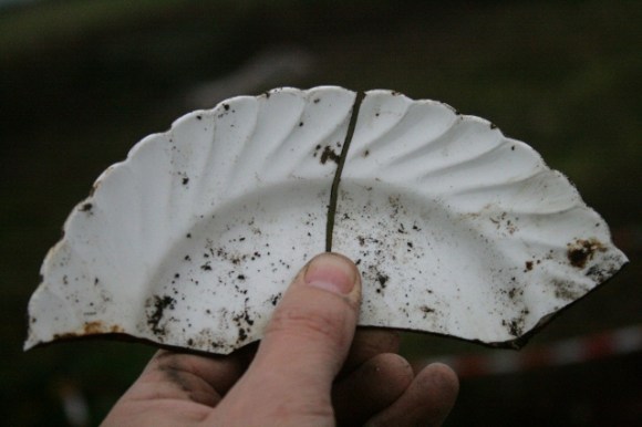 Ceramic side plate shards
