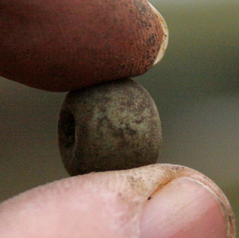 Green-ish ceramic or plaster bead