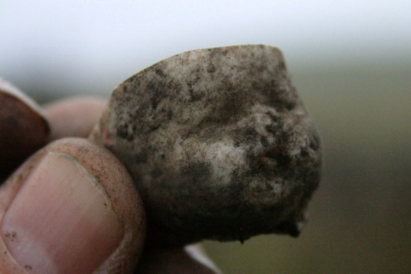 A very dirty 'bisque' doll's face