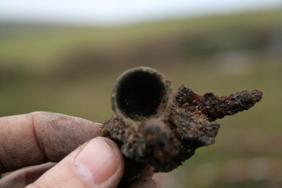 Possible copper alloy thimble concreted together with rusty nails