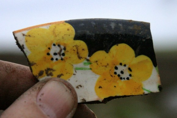One of a few shards of a floral design plate