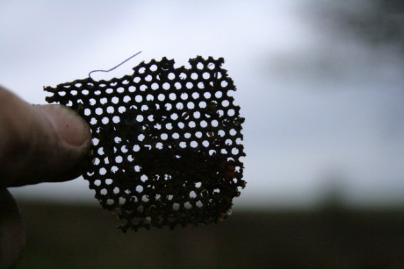 One of many fragile fragments of metal gauze