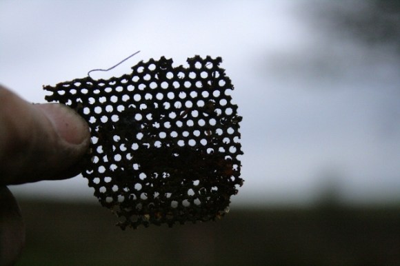 One of many fragile fragments of metal gauze