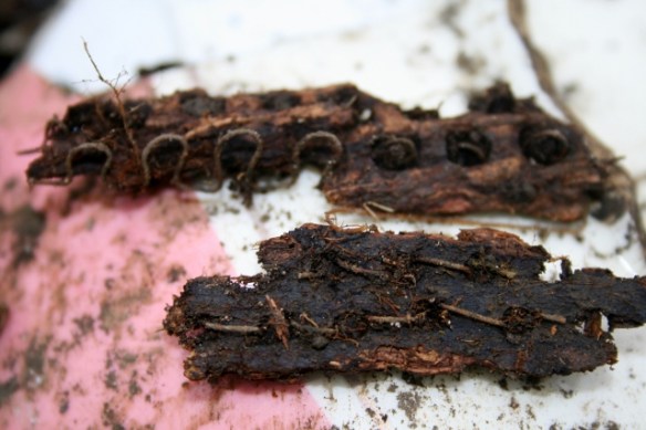 Sewn pieces of wood