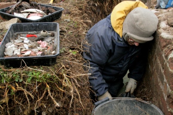 Looking S at excavation E of chimney base