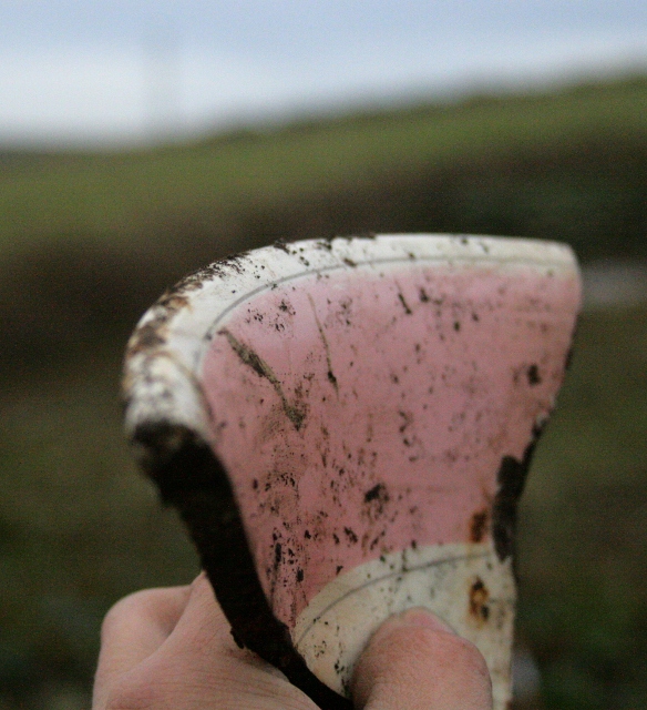 Rim shard of large wash bowl